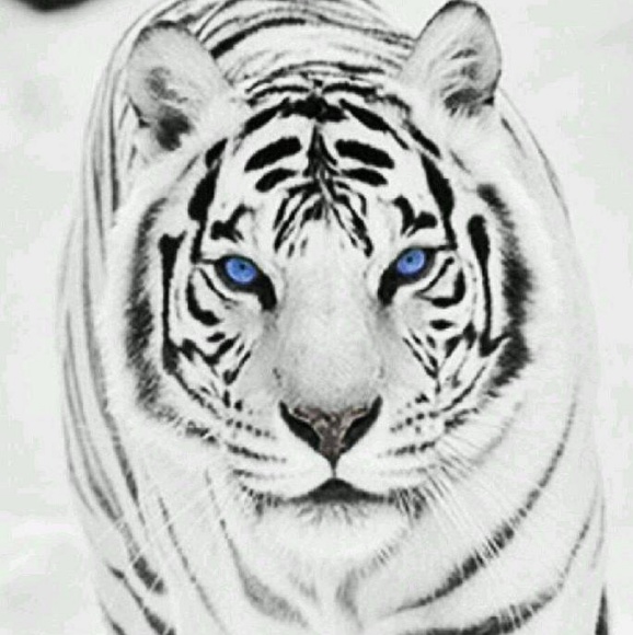 Meet your Posher, Hadeel - Picture 1 of 1